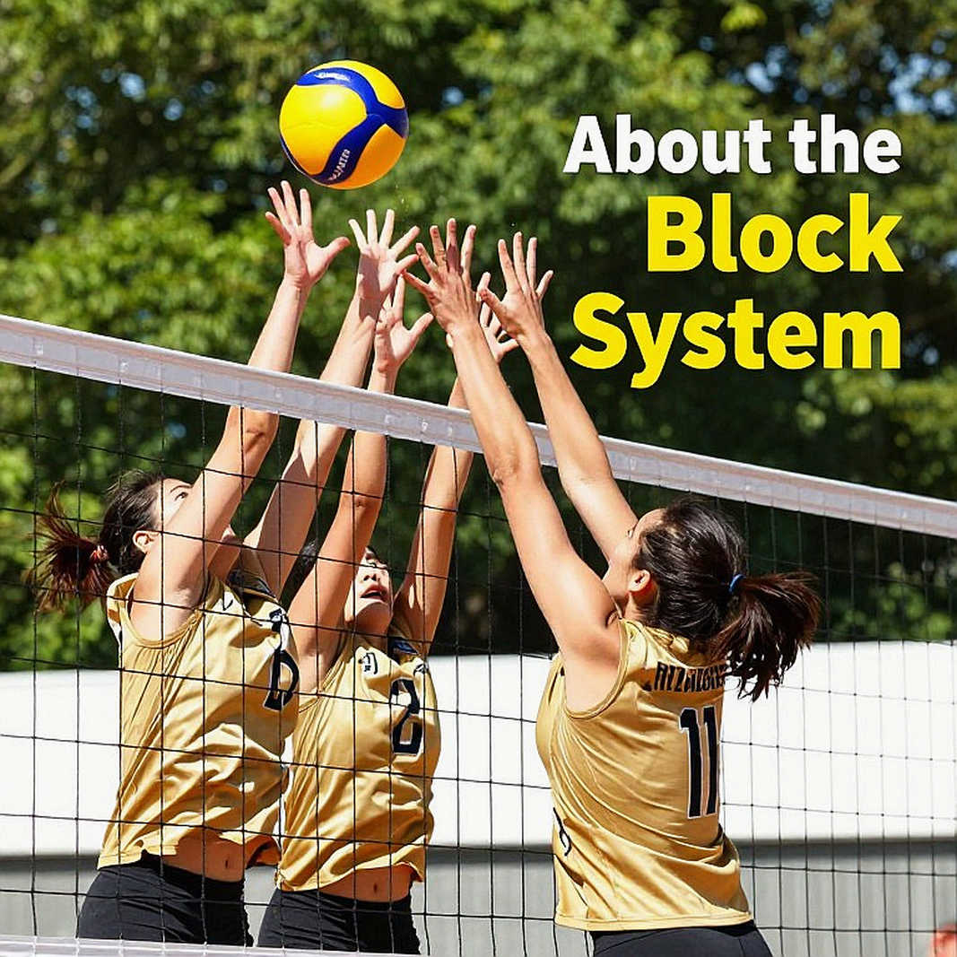 AVP League Championship 2026: Khối chắn bị bẻ gãy, và một tuần lễ mà dữ liệu vượt lên chính nó
